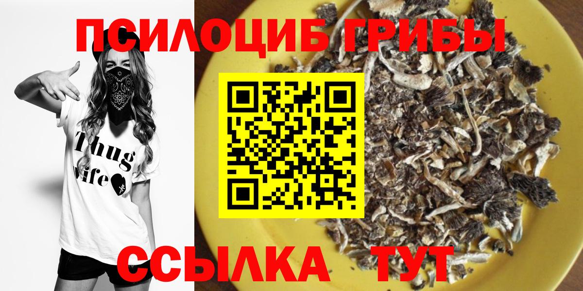 Псилоцибиновые грибы мухоморы Благовещенск